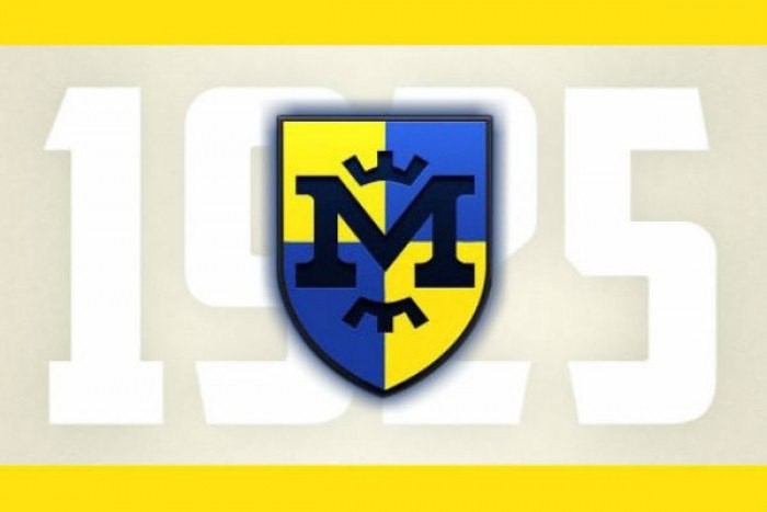 Программное заявление ООО 